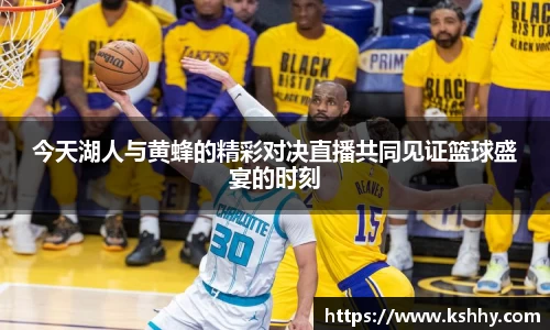 333体育官网