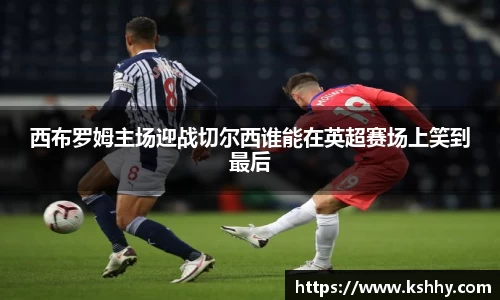 333体育官网