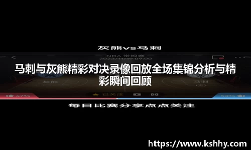 333体育