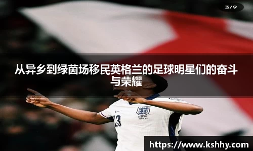 333体育官网
